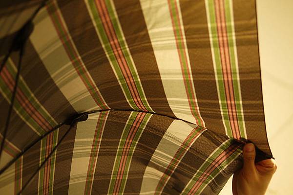UMBRELLA UMBRELLA