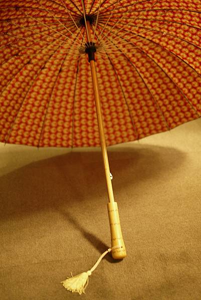 UMBRELLA UMBRELLA