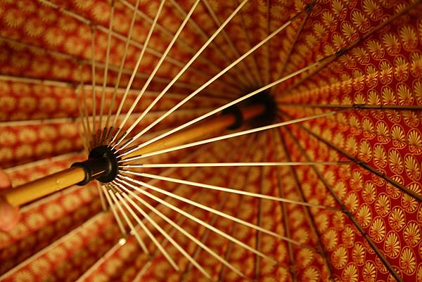 UMBRELLA UMBRELLA