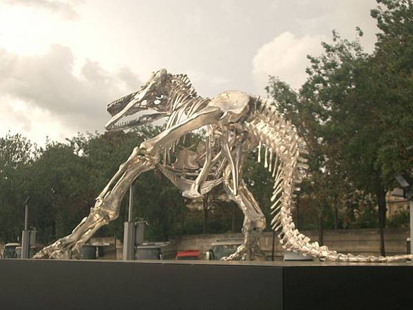 FRANCE 310 (800x600)