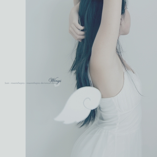 Wings_by_roseonthegrey.jpg Wings_by_roseonthegrey.jpg