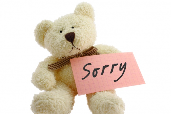 sorry-bear.jpg