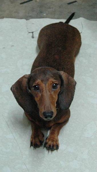 302001_10150373865481468_1180914049_n