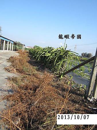 照片 657 照片 657