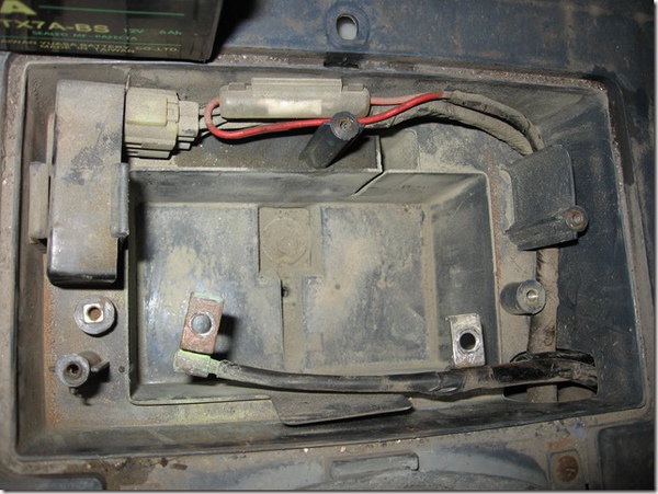 20101019_6502 20101019_6502