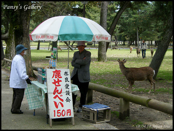 0418_012.jpg 0418_012.jpg