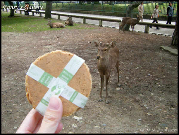 0418_025.jpg 0418_025.jpg