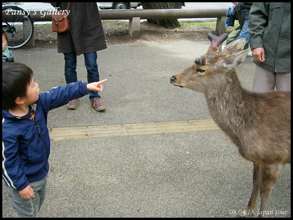 0418_028.jpg 0418_028.jpg