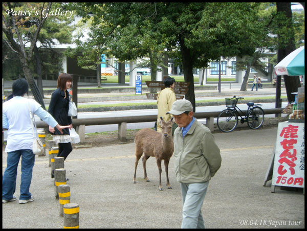 0418_030.jpg 0418_030.jpg