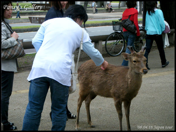 0418_031.jpg 0418_031.jpg