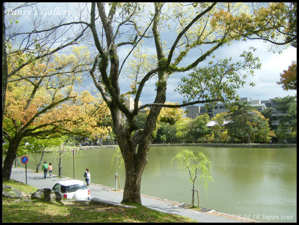 0418_054.jpg 0418_054.jpg