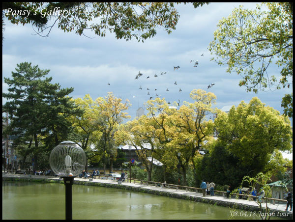 0418_055.jpg 0418_055.jpg