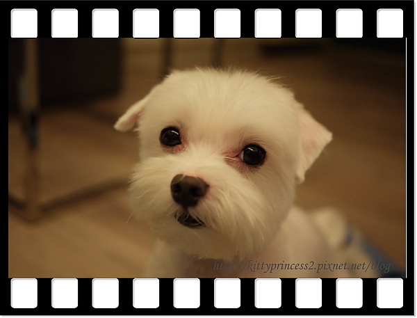 大頭照.JPG 大頭照.JPG