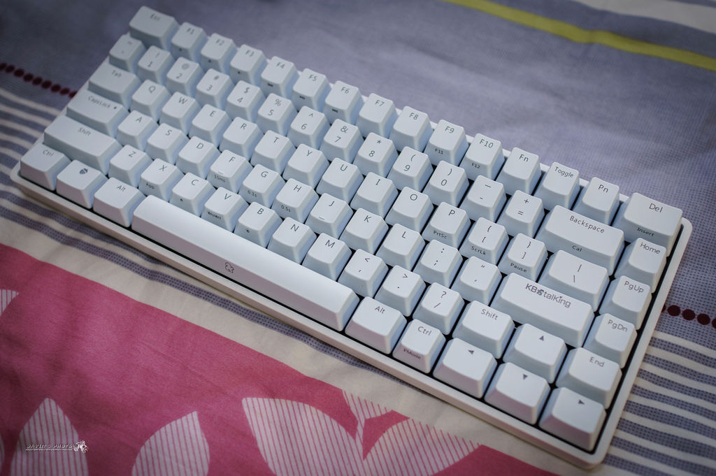 DSC08177.jpg DSC08177.jpg