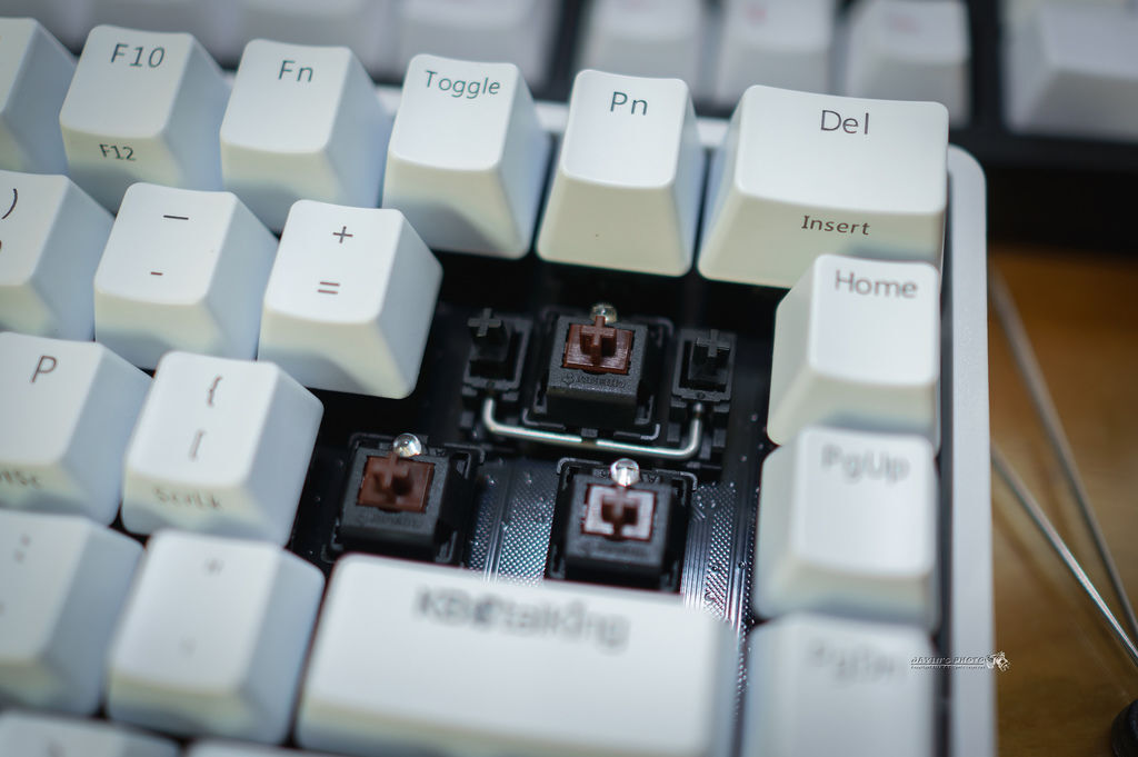 DSC08196.jpg DSC08196.jpg