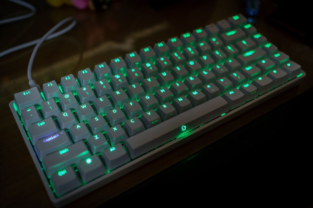 DSC08199.jpg DSC08199.jpg