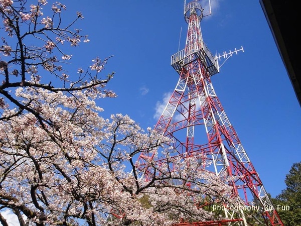 1781538_807038865988646_223276173_n