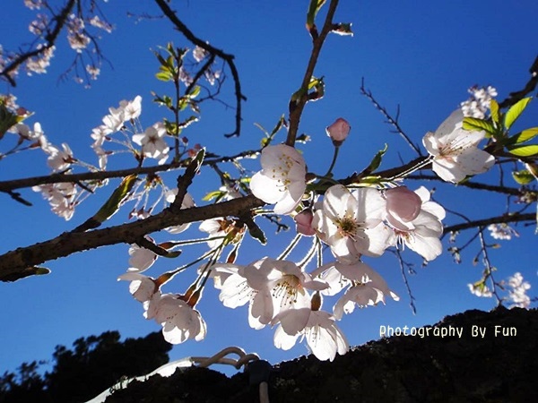 1743288_807036979322168_120994570_n