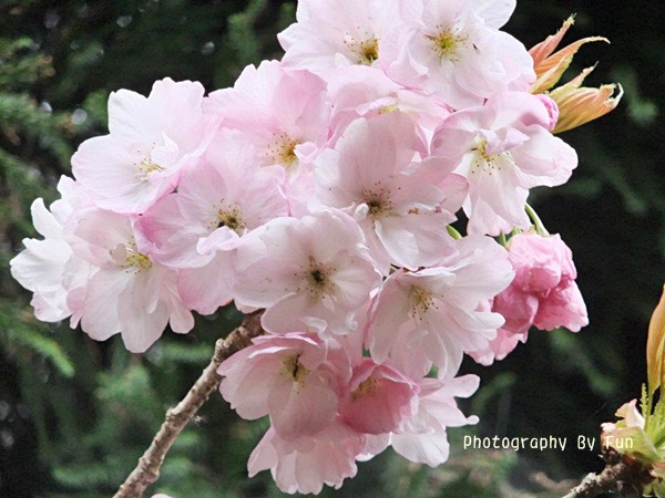 575033_425995487414905_1577752976_n