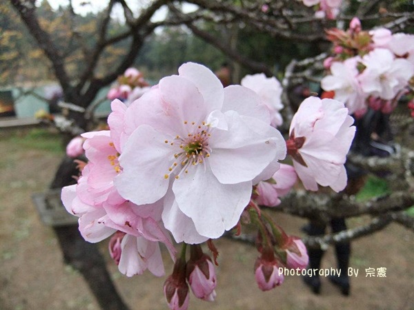 543307_425995187414935_405606661_n