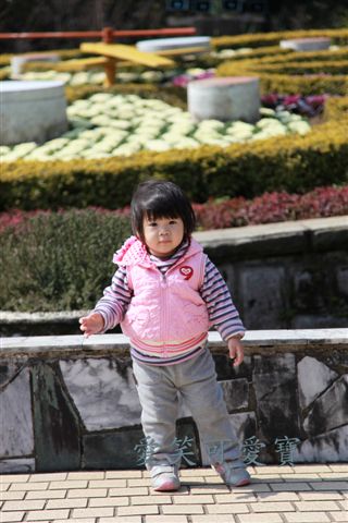 IMG_9538.JPG IMG_9538.JPG