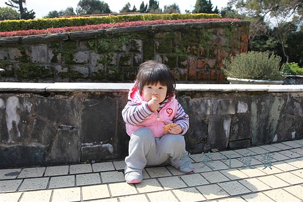 IMG_9581.JPG IMG_9581.JPG