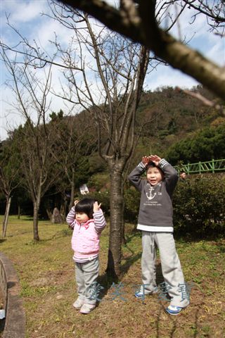 IMG_9495.JPG IMG_9495.JPG