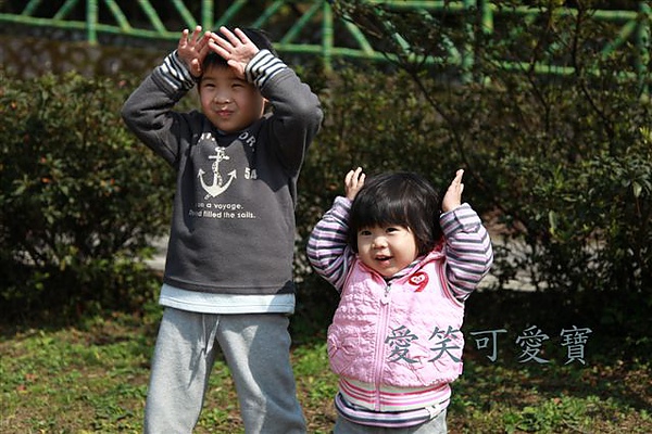 IMG_9508.JPG IMG_9508.JPG