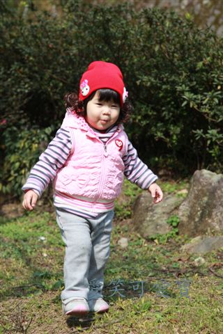 IMG_9649.JPG IMG_9649.JPG