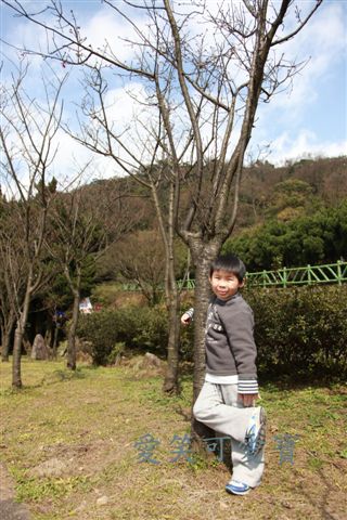 IMG_9492.JPG IMG_9492.JPG