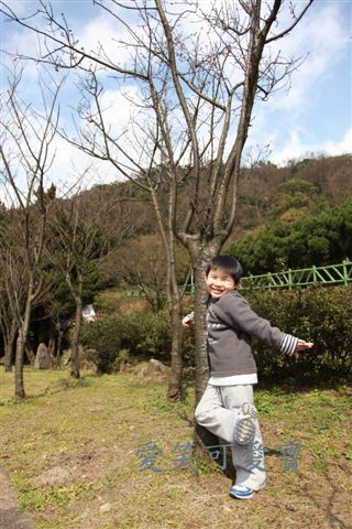 IMG_9494.JPG IMG_9494.JPG