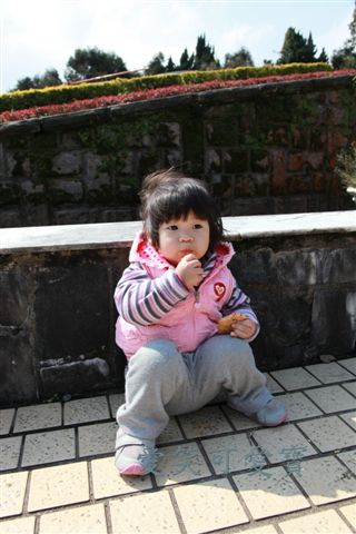 IMG_9584.JPG IMG_9584.JPG