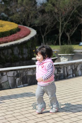 IMG_9529.JPG IMG_9529.JPG