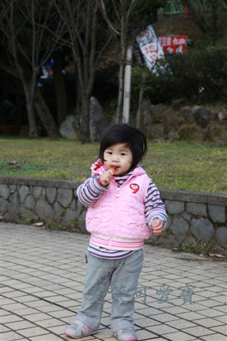 IMG_9615.JPG IMG_9615.JPG