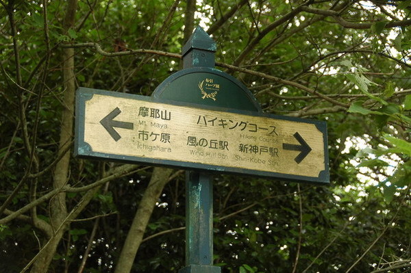 JPN0379.JPG JPN0379.JPG