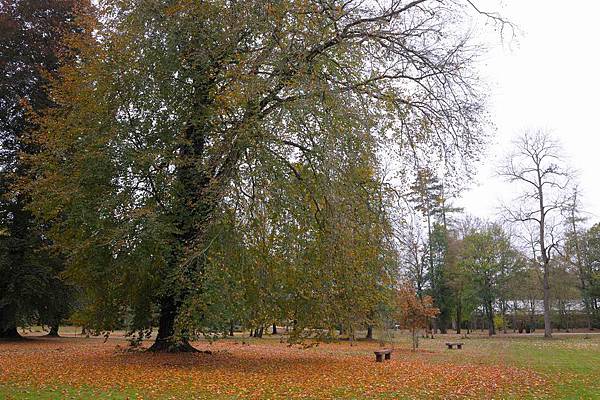 DSC_10713.jpg DSC_10713.jpg