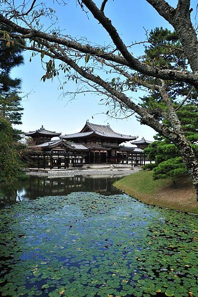 日本出差記行0235-京都宇治.JPG 日本出差記行0235-京都宇治.JPG