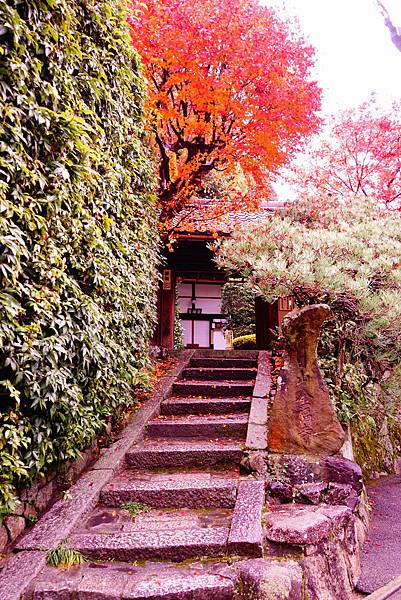 DSC05109 DSC05109