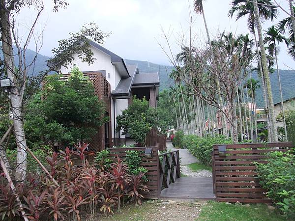 10.18花蓮蝴蝶谷&鯉魚潭&市區 (245).JPG 10.18花蓮蝴蝶谷&鯉魚潭&市區 (245).JPG