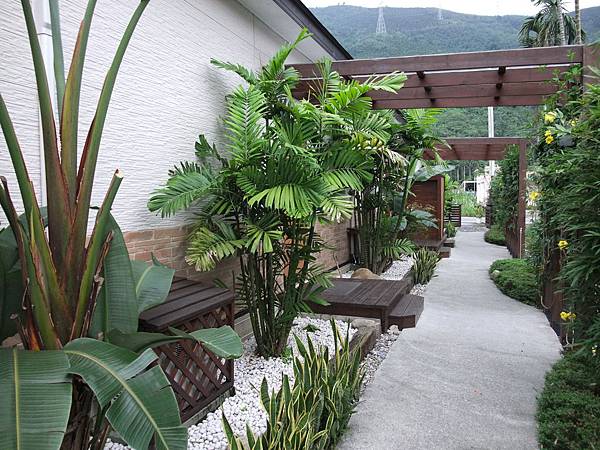 10.18花蓮蝴蝶谷&鯉魚潭&市區 (247).JPG 10.18花蓮蝴蝶谷&鯉魚潭&市區 (247).JPG