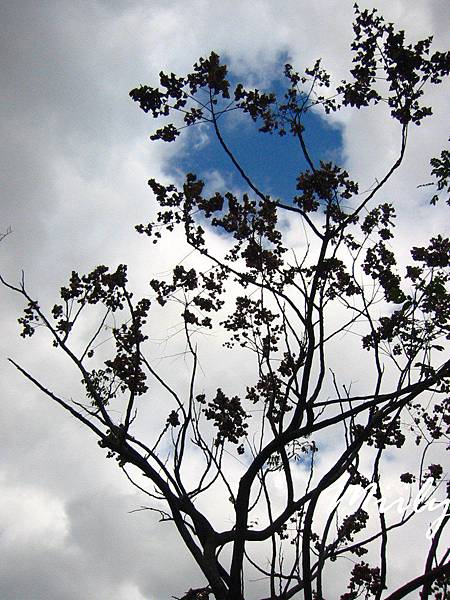 IMG_3653.jpg IMG_3653.jpg