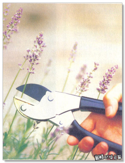 14a19fda5dd72a.jpg 14a19fda5dd72a.jpg