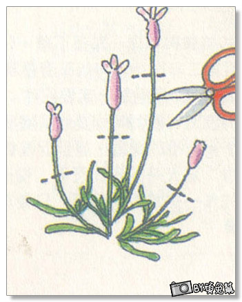 14a19fde3b48d7.jpg 14a19fde3b48d7.jpg