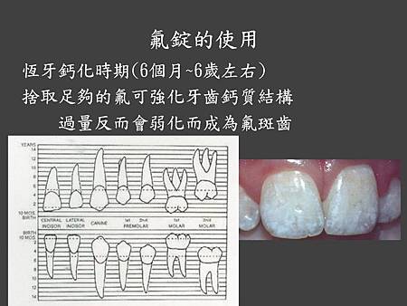 投影片88.JPG