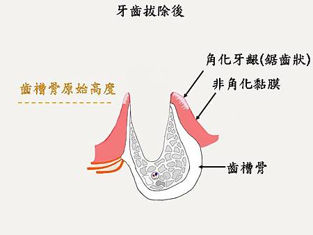 投影片5.JPG