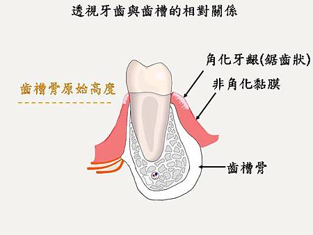 投影片4.JPG