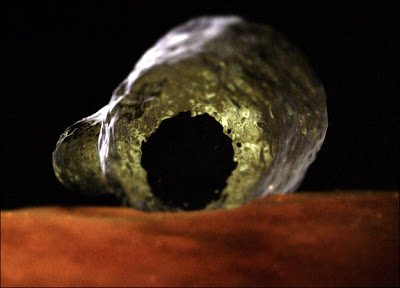 巴基斯坦出現專吃大腦寄生蟲(brain-eating amoeba) - 專吃大腦寄生蟲 巴基斯坦出現專吃大腦寄生蟲(brain-eating amoeba) -
專吃大腦寄生蟲