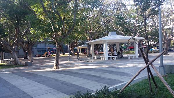 IMG_20141129_140941 IMG_20141129_140941