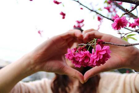 734857_10200585008773506_1316220832_n