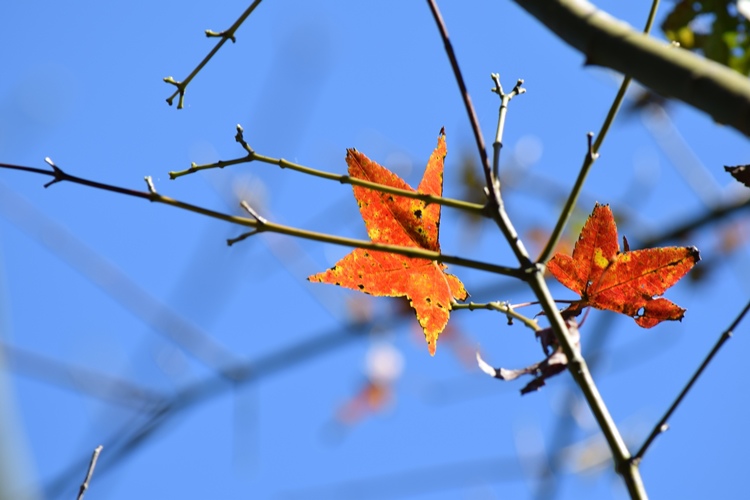 DSC_0057.JPG DSC_0057.JPG